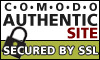 256 bit AES-256 SSL Certificate protection supplied by Comodo