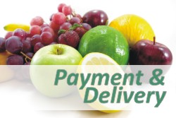 Payment and delivery Payment and delivery