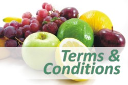 Terms and conditions Terms and conditions